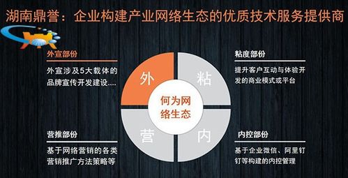 二十年網(wǎng)絡(luò)營銷實戰(zhàn)專家談 國內(nèi)企業(yè)網(wǎng)絡(luò)營銷推廣的“道、法、術(shù)”